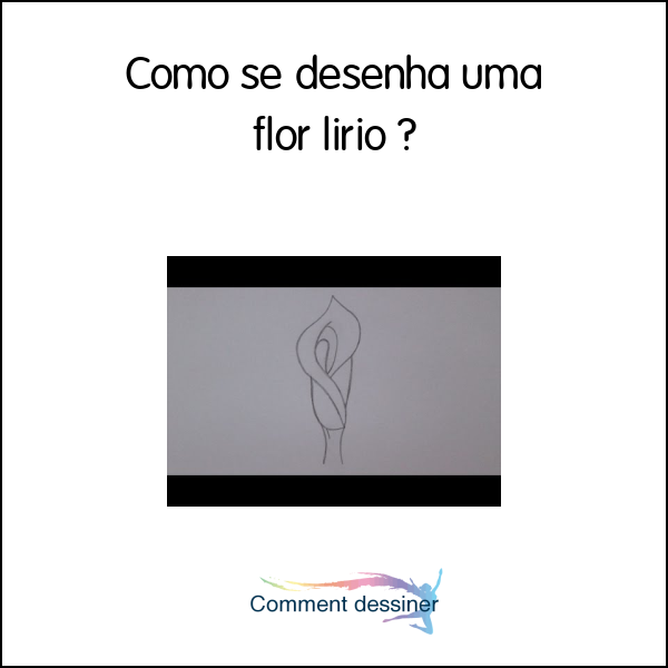 Como se desenha uma flor lírio